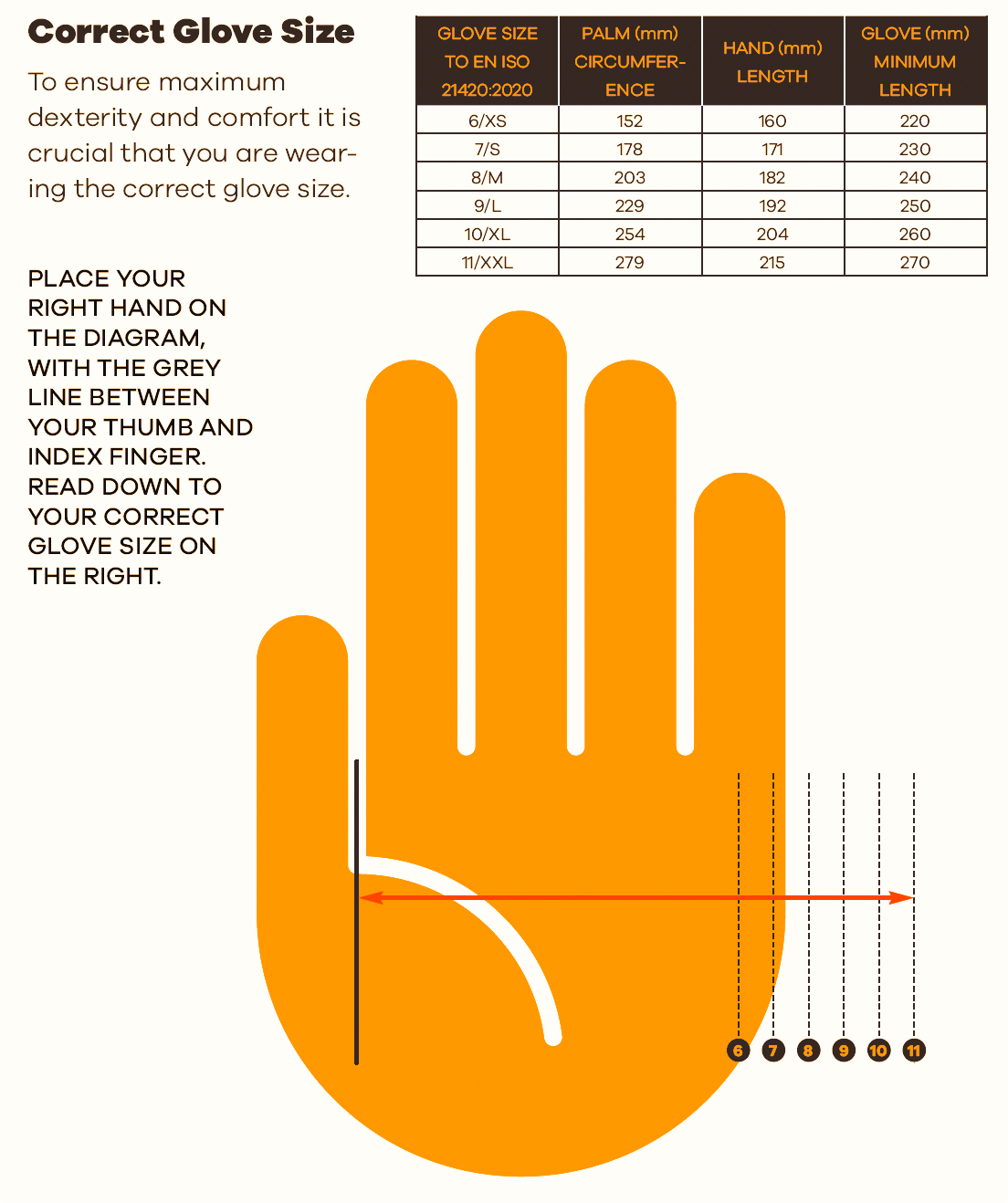 Hand Size Measurement